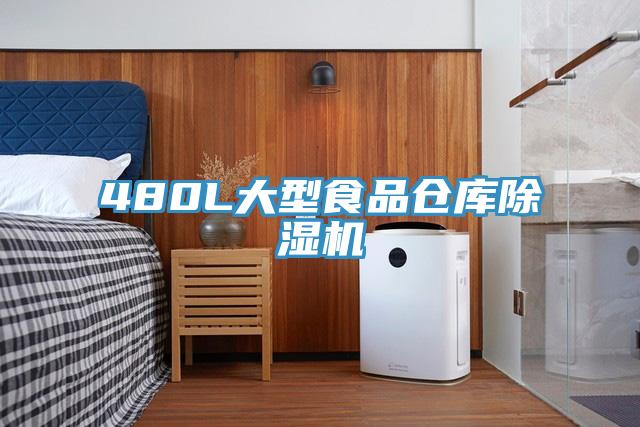480L大型食品倉(cāng)庫(kù)除濕機(jī)