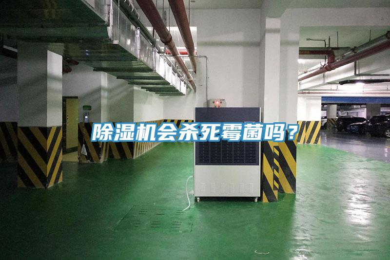 除濕機(jī)會殺死霉菌嗎？