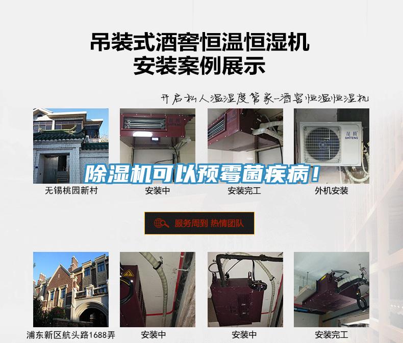 除濕機可以預霉菌疾?。?></div>
								<div   id=
