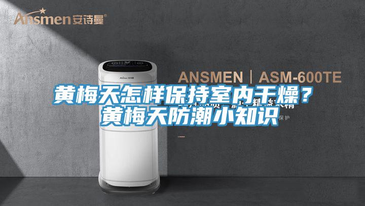 黃梅天怎樣保持室內(nèi)干燥？ 黃梅天防潮小知識(shí)