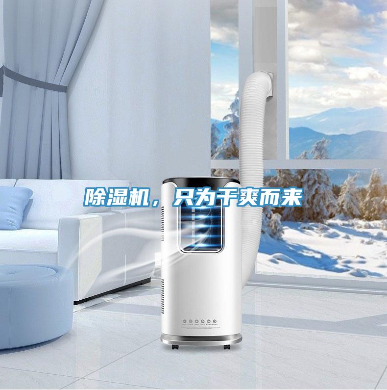 除濕機(jī)，只為干爽而來(lái)
