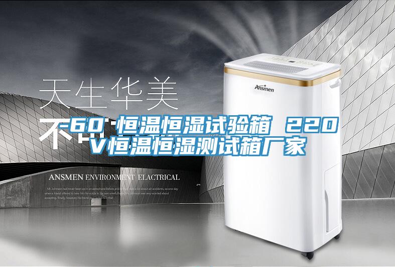 -60℃恒溫恒濕試驗(yàn)箱 220V恒溫恒濕測試箱廠家