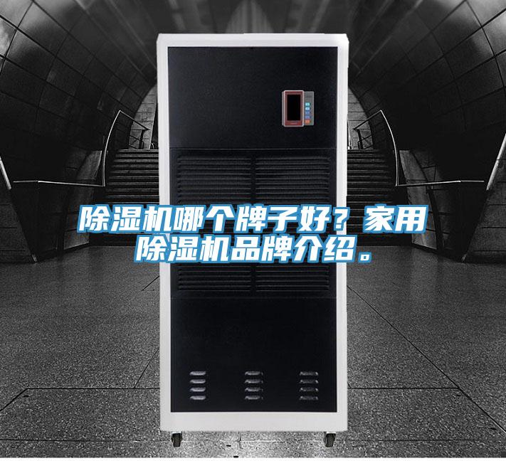 除濕機(jī)哪個(gè)牌子好？家用除濕機(jī)品牌介紹。
