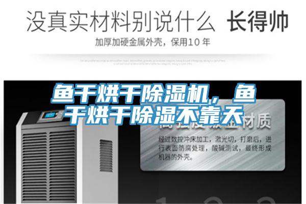 魚干烘干除濕機，魚干烘干除濕不靠天