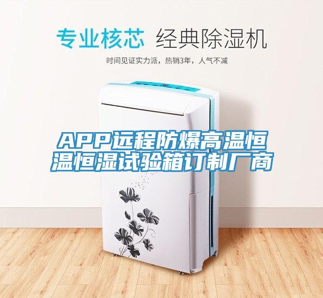 APP遠程防爆高溫恒溫恒濕試驗箱訂制廠商