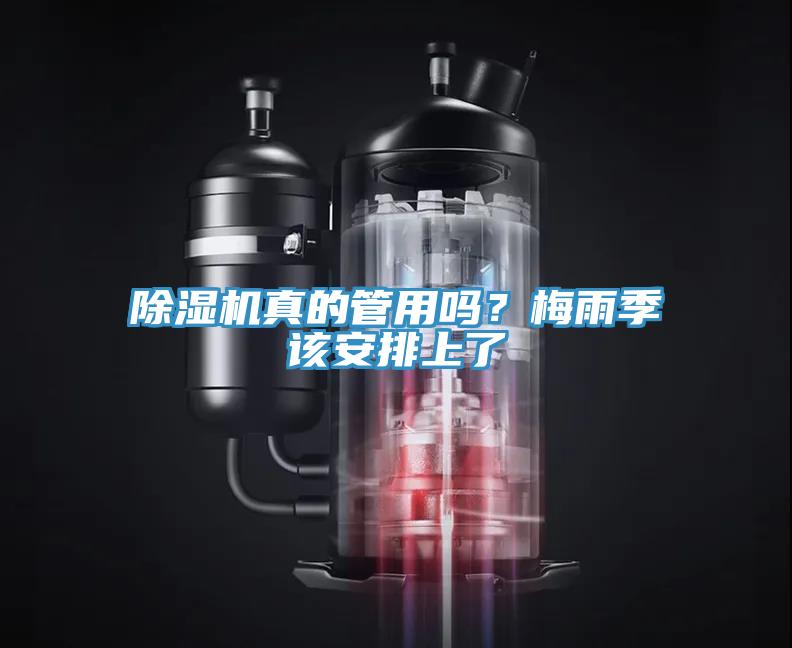 除濕機(jī)真的管用嗎？梅雨季該安排上了