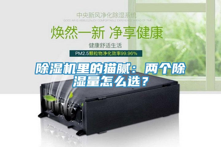 除濕機里的貓膩：兩個除濕量怎么選？
