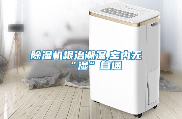 除濕機(jī)根治潮濕,室內(nèi)無“濕”自通