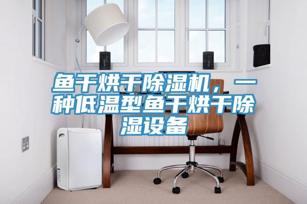魚干烘干除濕機，一種低溫型魚干烘干除濕設(shè)備