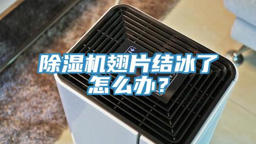 除濕機(jī)翅片結(jié)冰了怎么辦？