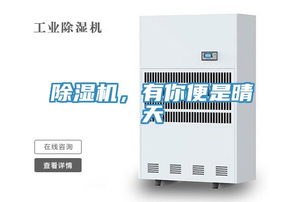 除濕機(jī)，有你便是晴天