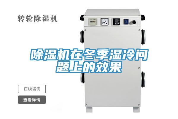 除濕機(jī)在冬季濕冷問題上的效果