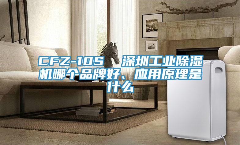 CFZ-10S  深圳工業(yè)除濕機(jī)哪個(gè)品牌好、應(yīng)用原理是什么