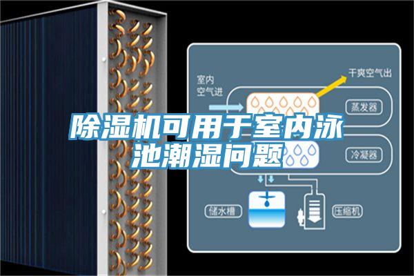 除濕機(jī)可用于室內(nèi)泳池潮濕問題