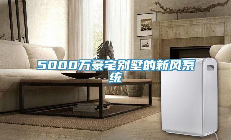 5000萬(wàn)豪宅別墅的新風(fēng)系統(tǒng)