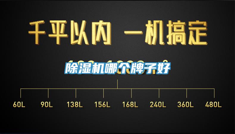 除濕機(jī)哪個(gè)牌子好