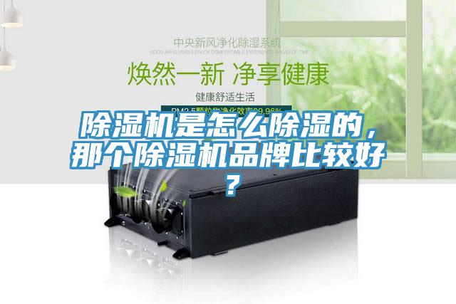 除濕機(jī)是怎么除濕的，那個(gè)除濕機(jī)品牌比較好？