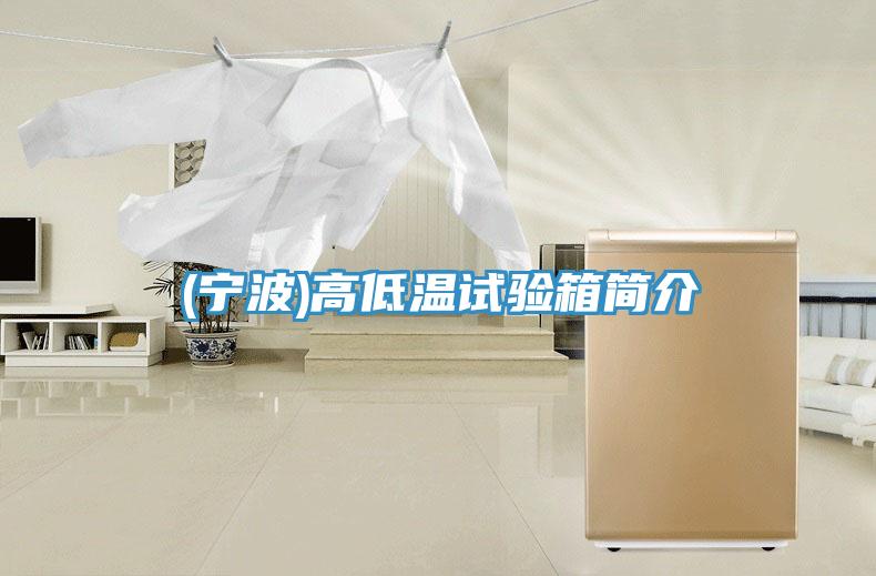 (寧波)高低溫試驗(yàn)箱簡介