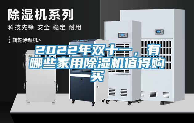 2022年雙十一，有哪些家用除濕機(jī)值得購買