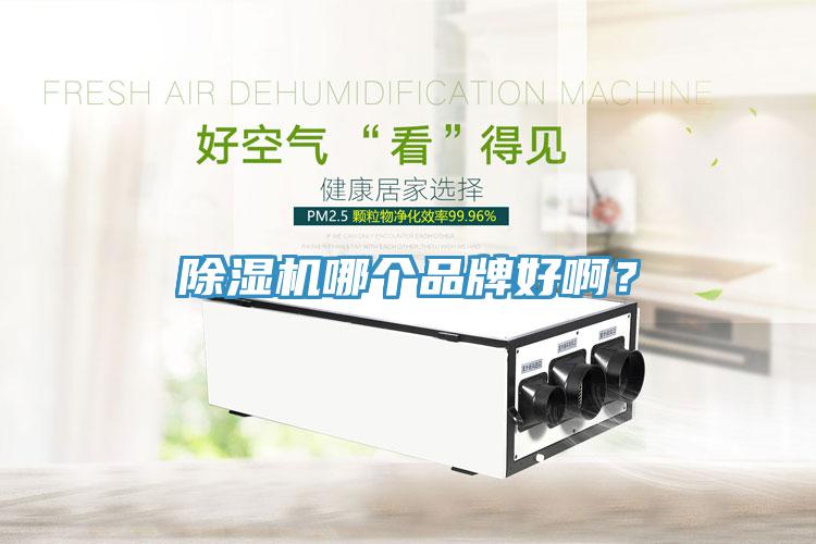 除濕機(jī)哪個(gè)品牌好?。?></div>
								<div   id=