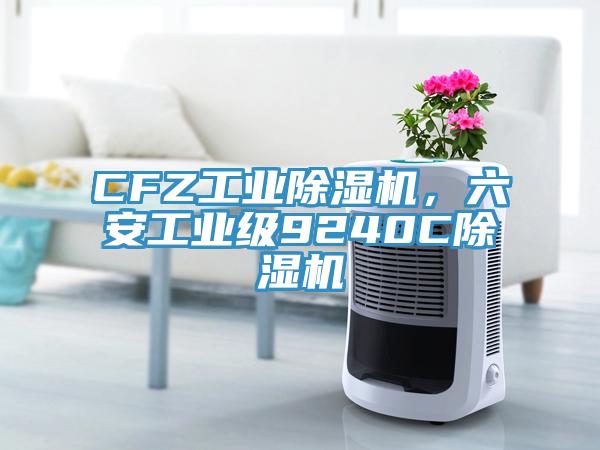 CFZ工業(yè)除濕機(jī)，六安工業(yè)級(jí)9240C除濕機(jī)