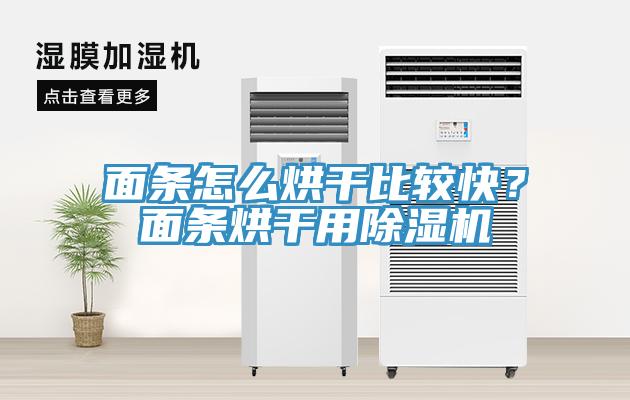 面條怎么烘干比較快？面條烘干用除濕機