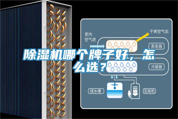 除濕機(jī)哪個(gè)牌子好，怎么選？