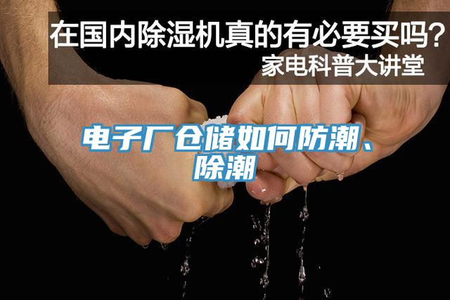 電子廠倉儲(chǔ)如何防潮、除潮