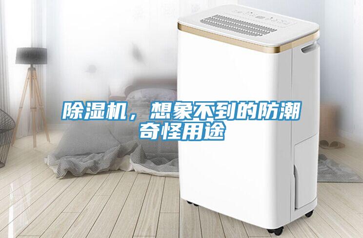 除濕機(jī)，想象不到的防潮奇怪用途