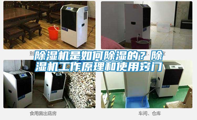 除濕機(jī)是如何除濕的？除濕機(jī)工作原理和使用竅門(mén)