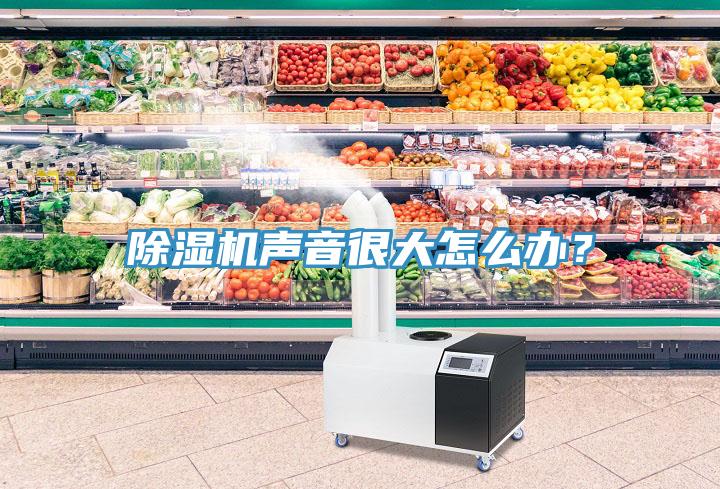除濕機(jī)聲音很大怎么辦？