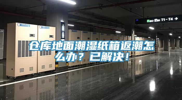倉庫地面潮濕紙箱返潮怎么辦？已解決！