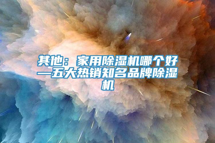 其他：家用除濕機(jī)哪個(gè)好—五大熱銷知名品牌除濕機(jī)
