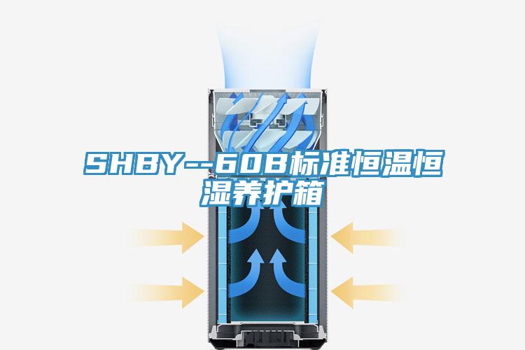SHBY--60B標準恒溫恒濕養(yǎng)護箱