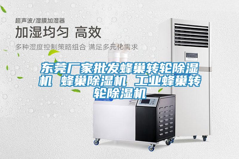 東莞廠家批發(fā)蜂巢轉(zhuǎn)輪除濕機 蜂巢除濕機 工業(yè)蜂巢轉(zhuǎn)輪除濕機