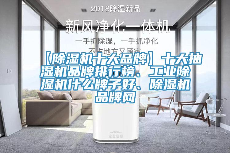 【除濕機(jī)十大品牌】十大抽濕機(jī)品牌排行榜、工業(yè)除濕機(jī)什么牌子好、除濕機(jī)品牌網(wǎng)