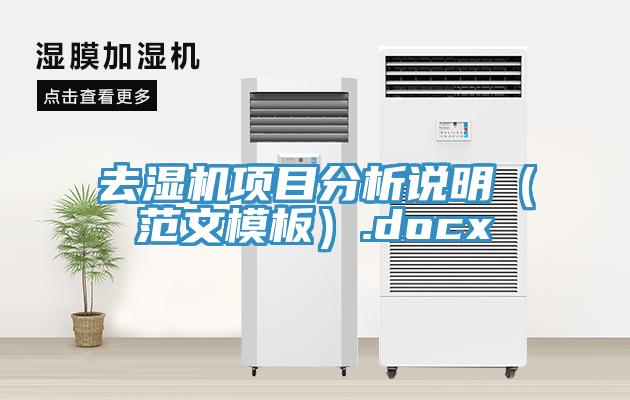 去濕機(jī)項(xiàng)目分析說(shuō)明（范文模板）.docx