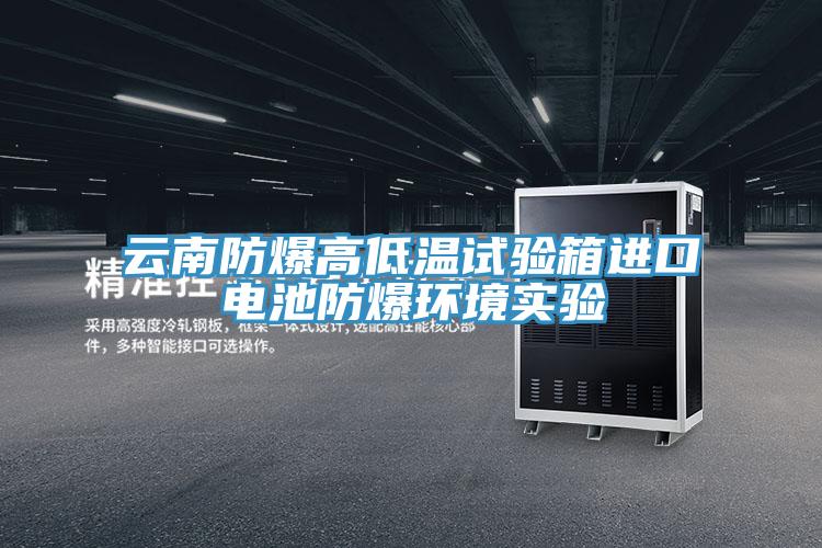 云南防爆高低溫試驗箱進(jìn)口電池防爆環(huán)境實驗