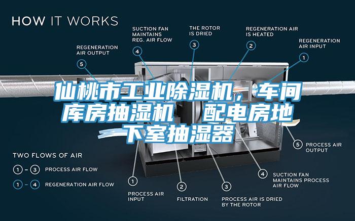 仙桃市工業(yè)除濕機(jī)，車間庫房抽濕機(jī)  配電房地下室抽濕器