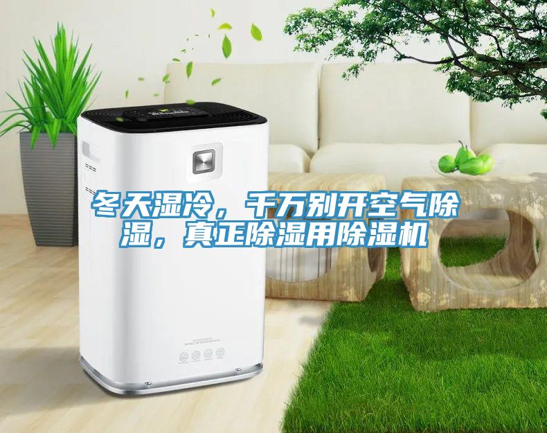 冬天濕冷，千萬別開空氣除濕，真正除濕用除濕機
