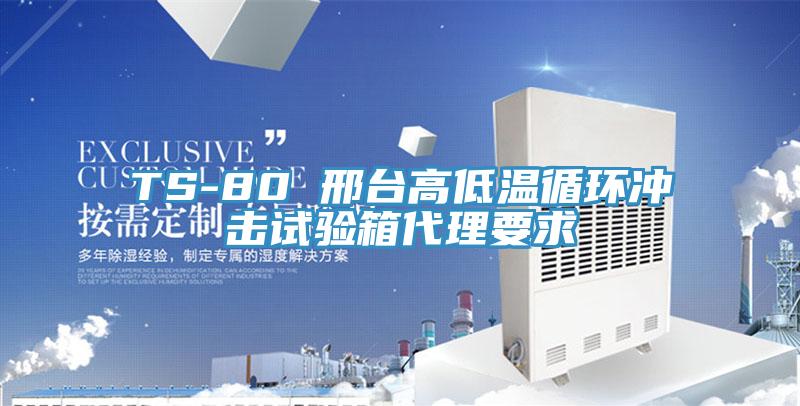 TS-80 邢臺(tái)高低溫循環(huán)沖擊試驗(yàn)箱代理要求
