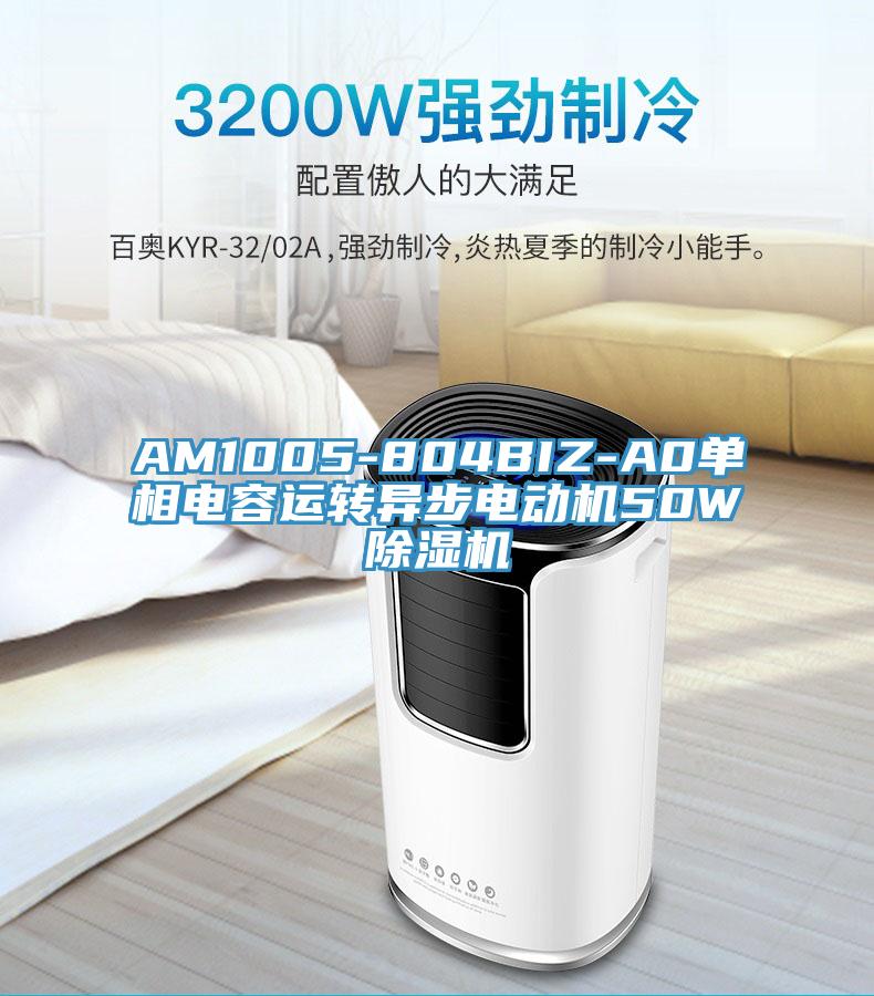 AM1005-804BIZ-A0單相電容運(yùn)轉(zhuǎn)異步電動機(jī)50W除濕機(jī)