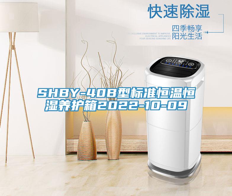SHBY-40B型標準恒溫恒濕養(yǎng)護箱2022-10-09