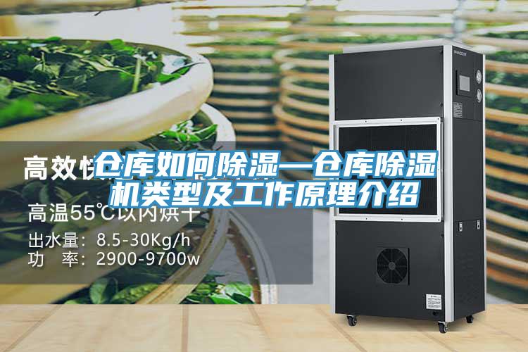 倉(cāng)庫如何除濕—倉(cāng)庫除濕機(jī)類型及工作原理介紹