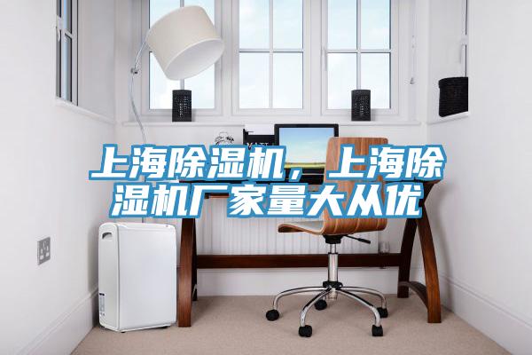 上海除濕機(jī)，上海除濕機(jī)廠家量大從優(yōu)