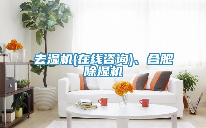 去濕機(jī)(在線咨詢)、合肥除濕機(jī)