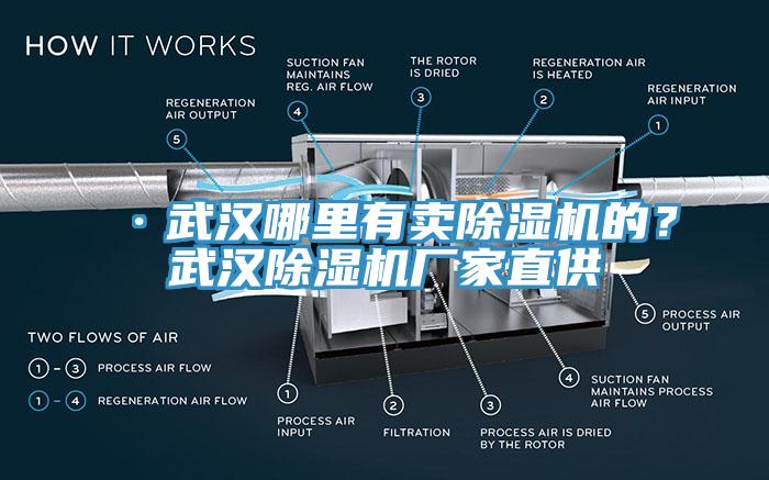 ·武漢哪里有賣除濕機的？武漢除濕機廠家直供