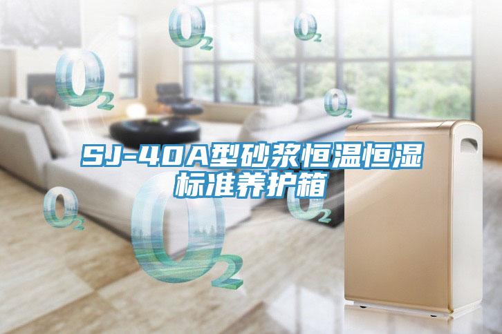 SJ-40A型砂漿恒溫恒濕標準養(yǎng)護箱