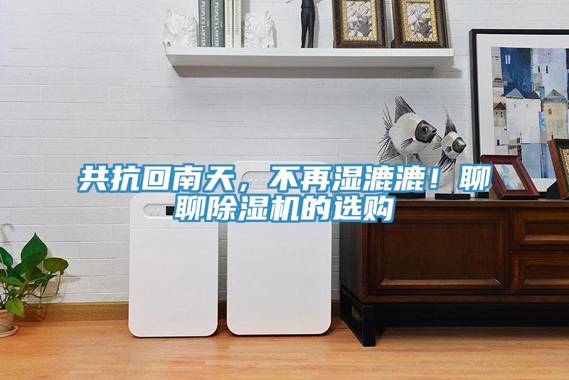 共抗回南天，不再濕漉漉！聊聊除濕機的選購