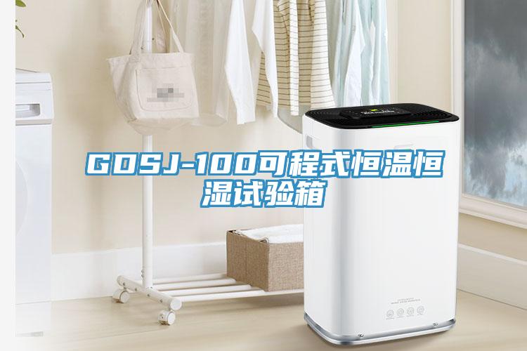 GDSJ-100可程式恒溫恒濕試驗(yàn)箱